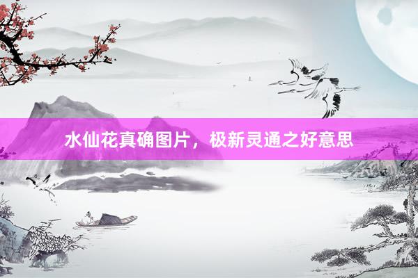 水仙花真确图片，极新灵通之好意思